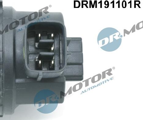 Dr.Motor Automotive DRM191101R - Supapa,control evacuare EGR aaoparts.ro