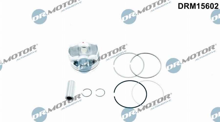 Dr.Motor Automotive DRM15602 - Piston aaoparts.ro