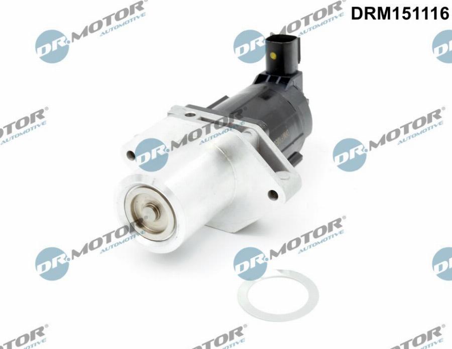 Dr.Motor Automotive DRM151116 - Supapa EGR aaoparts.ro