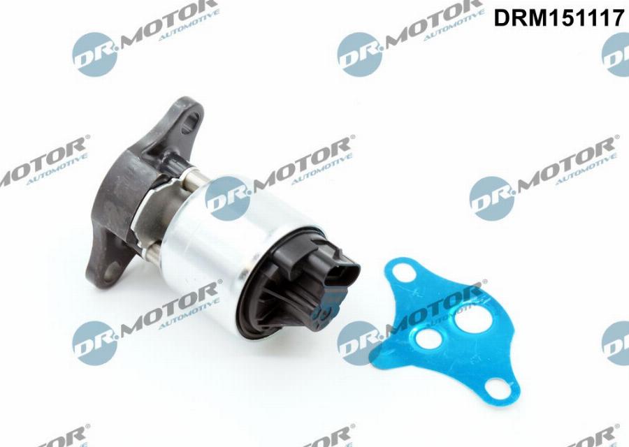 Dr.Motor Automotive DRM151117 - Supapa EGR aaoparts.ro