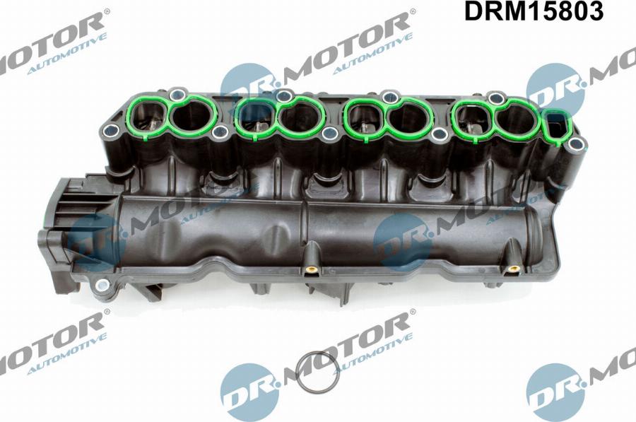 Dr.Motor Automotive DRM15803 - Modul conducta admisie aaoparts.ro