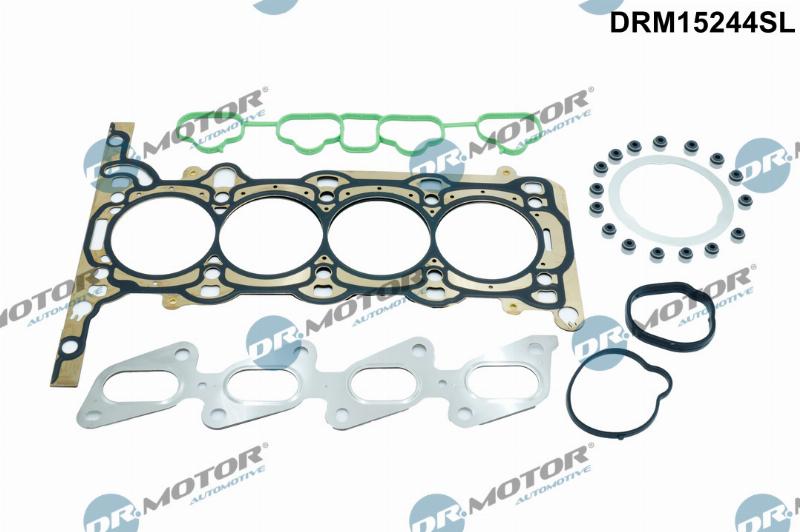 Dr.Motor Automotive DRM15244SL - Set garnituri, chiulasa aaoparts.ro