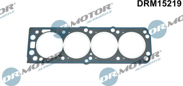 Dr.Motor Automotive DRM15219 - Garnitura, chiulasa aaoparts.ro