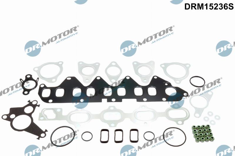 Dr.Motor Automotive DRM15236S - Set garnituri, chiulasa aaoparts.ro