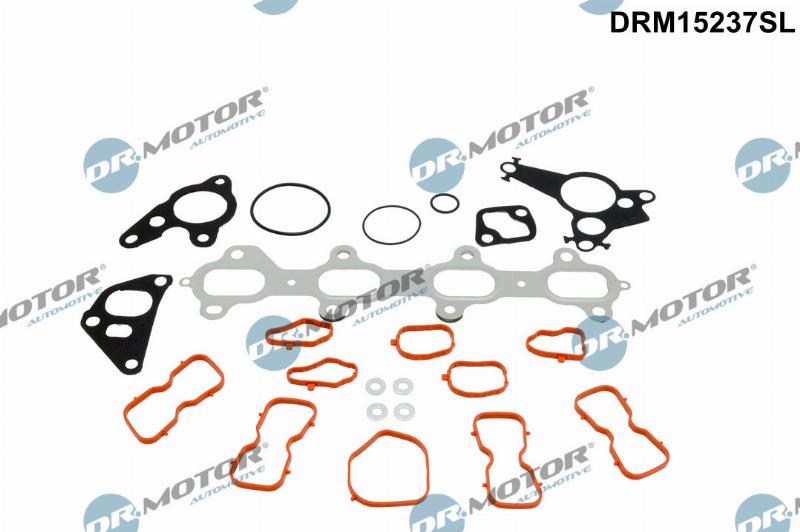 Dr.Motor Automotive DRM15237SL - Set garnituri, chiulasa aaoparts.ro