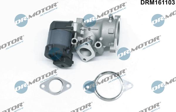 Dr.Motor Automotive DRM161103 - Supapa EGR aaoparts.ro