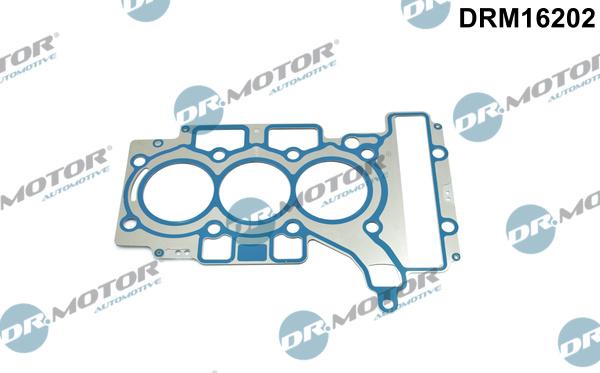 Dr.Motor Automotive DRM16202 - Garnitura, chiulasa aaoparts.ro