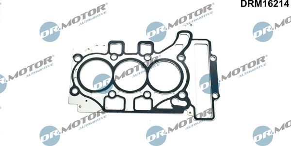 Dr.Motor Automotive DRM16214 - Garnitura, chiulasa aaoparts.ro