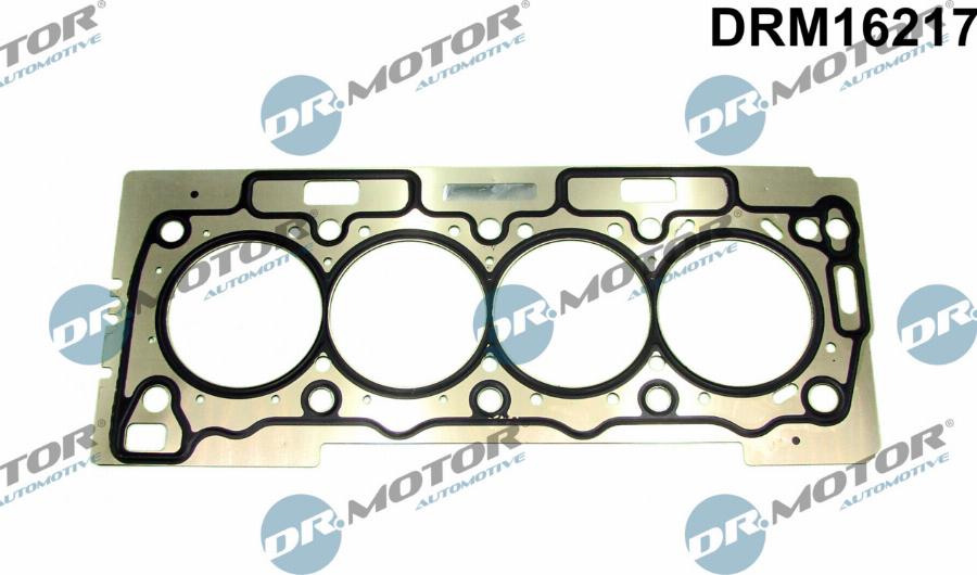 Dr.Motor Automotive DRM16217 - Garnitura, chiulasa aaoparts.ro