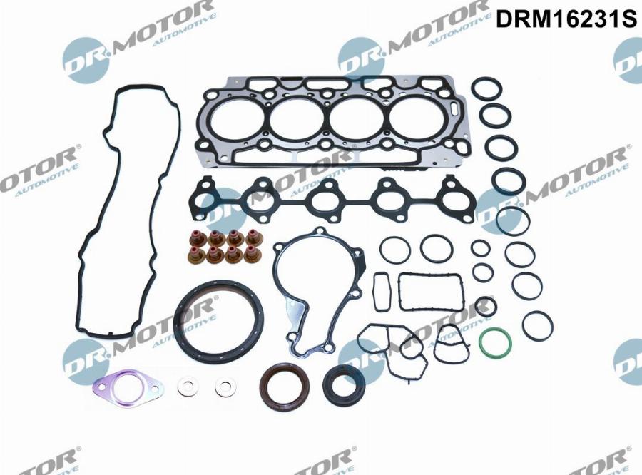 Dr.Motor Automotive DRM16231S - Set garnituri complet, motor aaoparts.ro