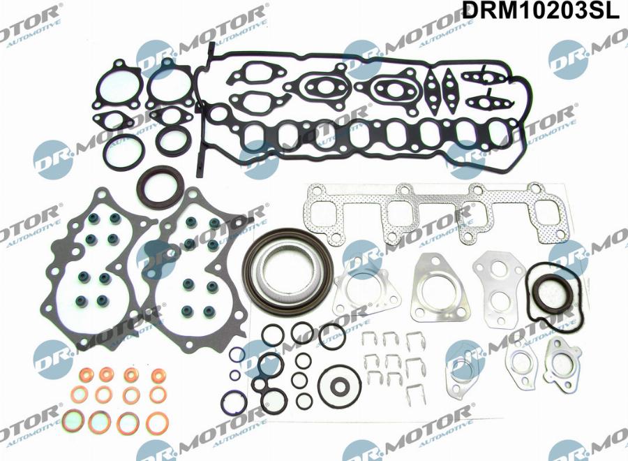 Dr.Motor Automotive DRM10203SL - Set garnituri complet, motor aaoparts.ro