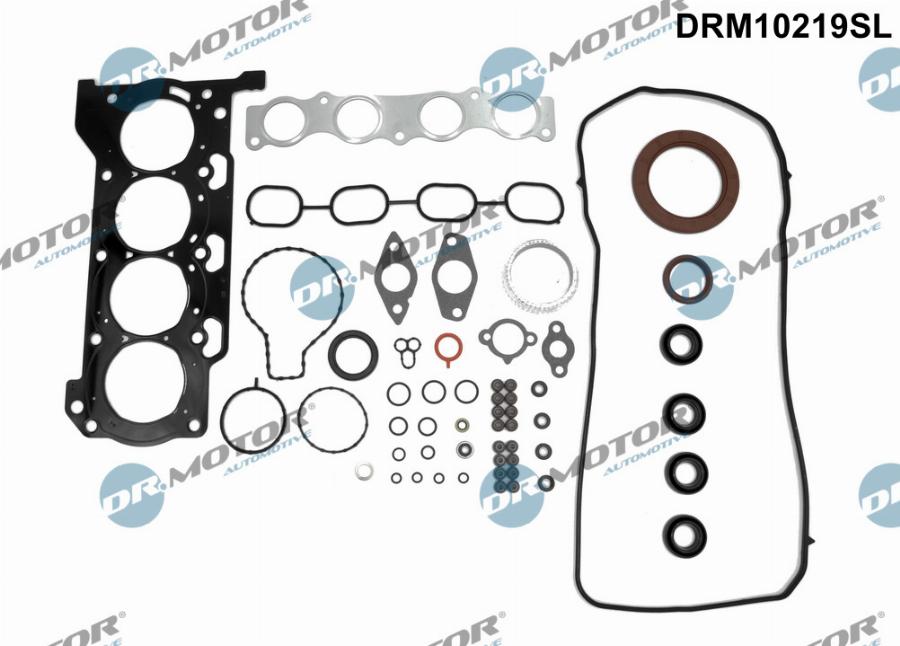Dr.Motor Automotive DRM10219SL - Set garnituri complet, motor aaoparts.ro