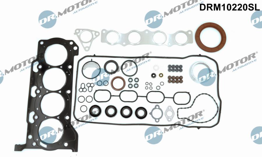 Dr.Motor Automotive DRM10220SL - Set garnituri complet, motor aaoparts.ro