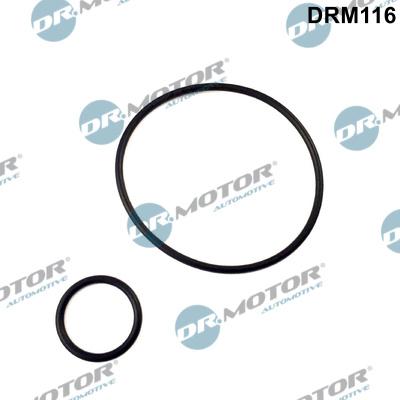 Dr.Motor Automotive DRM116 - Set garnituri, galerie admisie aaoparts.ro