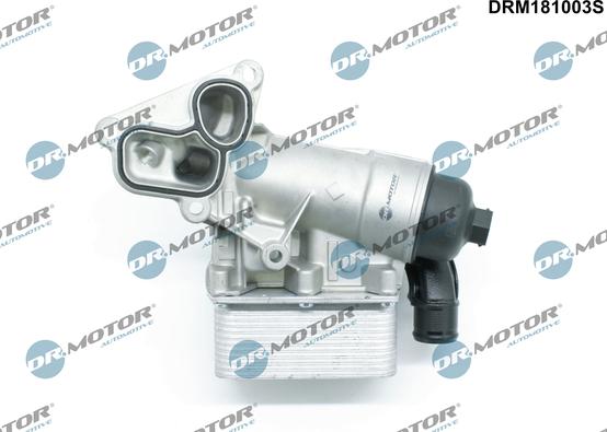 Dr.Motor Automotive DRM181003S - Locas filtru ulei aaoparts.ro