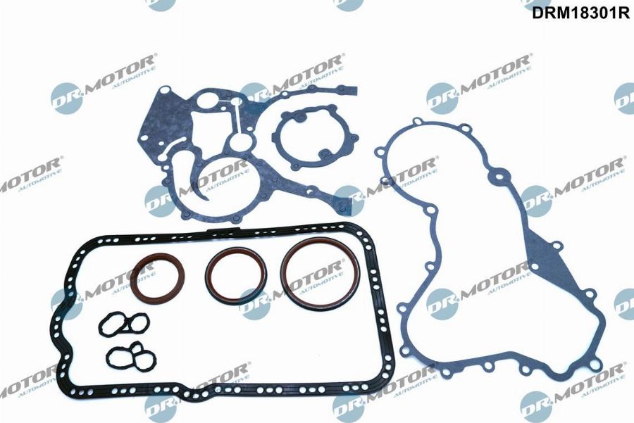 Dr.Motor Automotive DRM18301R - Set garnituri, carter aaoparts.ro