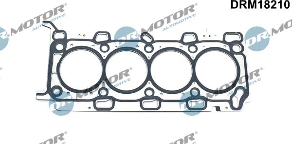 Dr.Motor Automotive DRM18210 - Garnitura, chiulasa aaoparts.ro