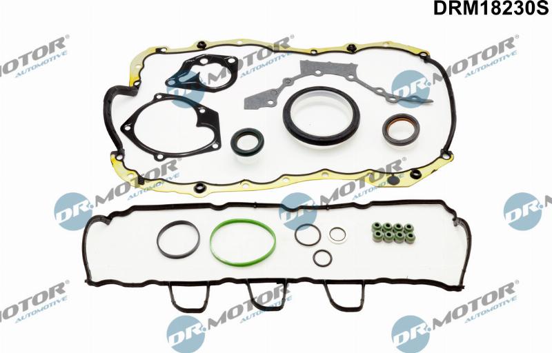 Dr.Motor Automotive DRM18230S - Set garnituri complet, motor aaoparts.ro