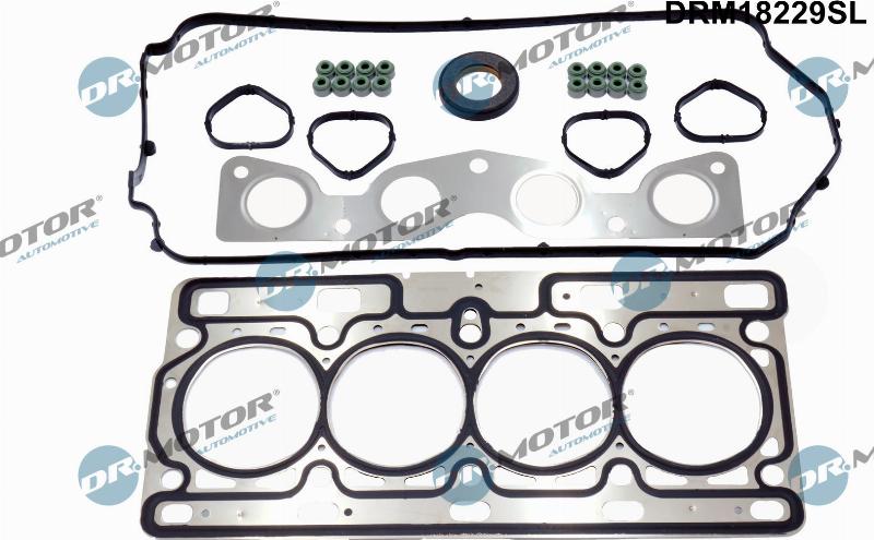 Dr.Motor Automotive DRM18229SL - Set garnituri, chiulasa aaoparts.ro