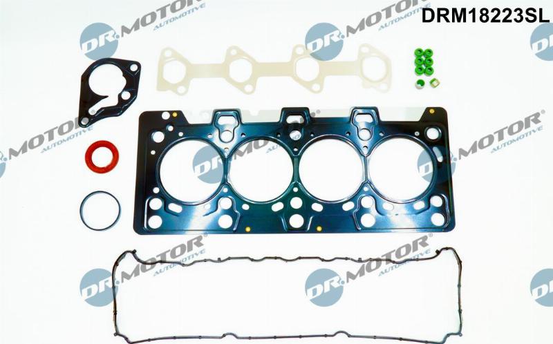 Dr.Motor Automotive DRM18223SL - Set garnituri, chiulasa aaoparts.ro