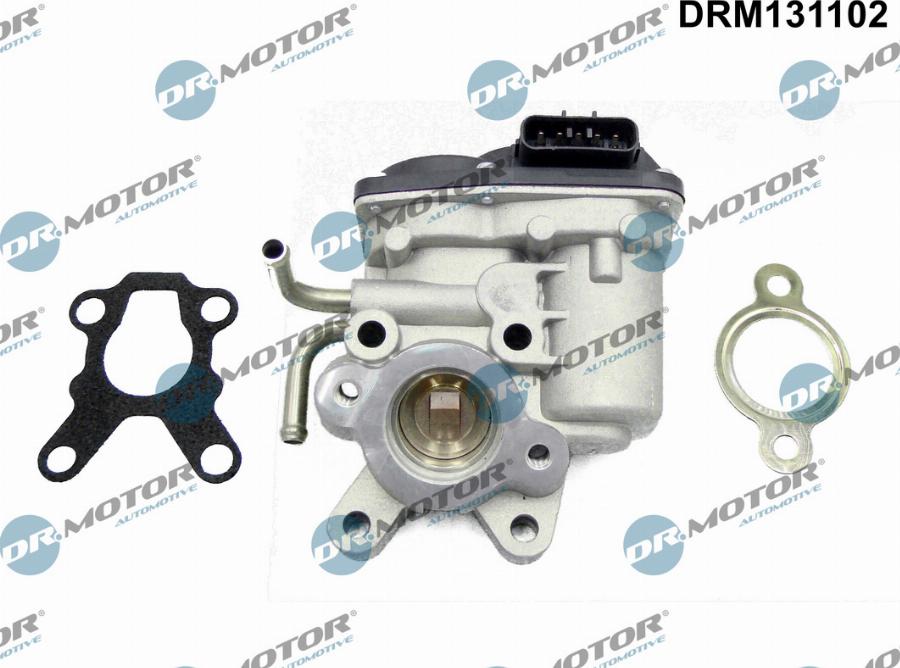 Dr.Motor Automotive DRM131102 - Supapa EGR aaoparts.ro