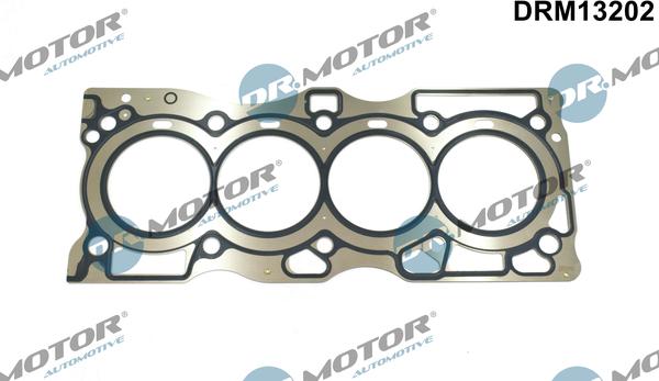 Dr.Motor Automotive DRM13202 - Garnitura, chiulasa aaoparts.ro