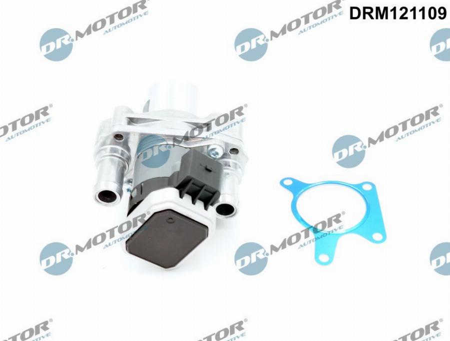 Dr.Motor Automotive DRM121109 - Supapa EGR aaoparts.ro