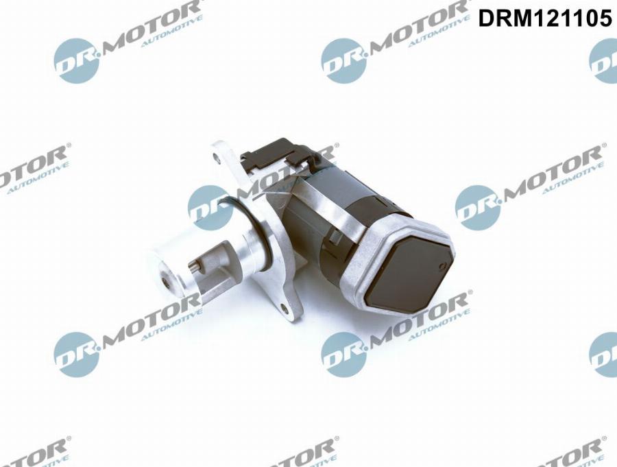 Dr.Motor Automotive DRM121105 - Supapa EGR aaoparts.ro