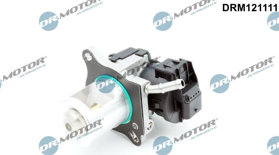 Dr.Motor Automotive DRM121111 - Supapa EGR aaoparts.ro