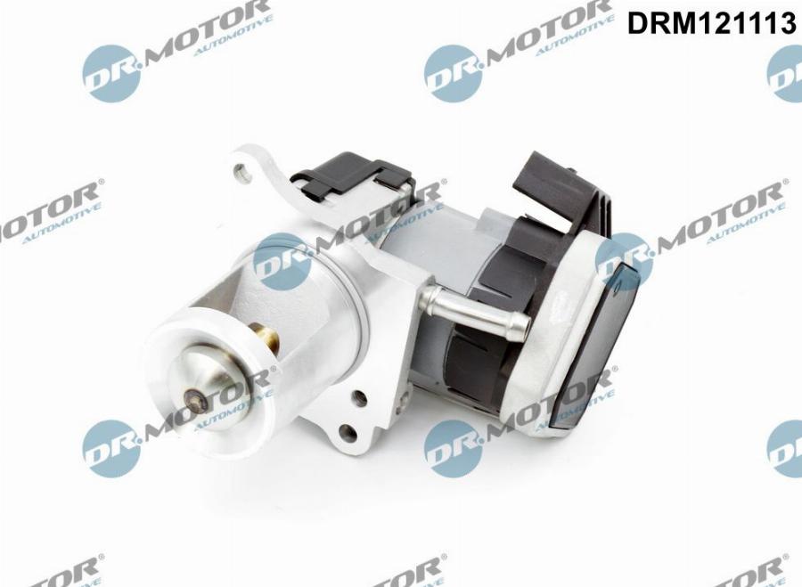 Dr.Motor Automotive DRM121113 - Supapa EGR aaoparts.ro