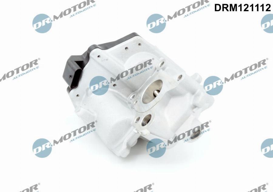 Dr.Motor Automotive DRM121112 - Supapa EGR aaoparts.ro