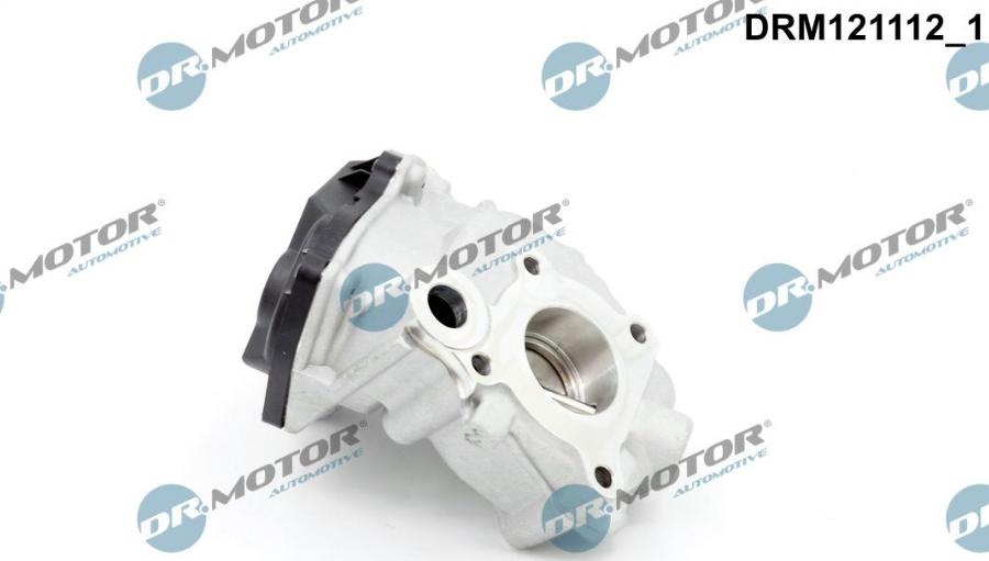 Dr.Motor Automotive DRM121112 - Supapa EGR aaoparts.ro