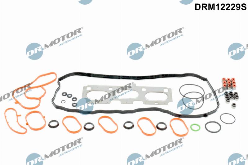 Dr.Motor Automotive DRM12229S - Set garnituri, chiulasa aaoparts.ro