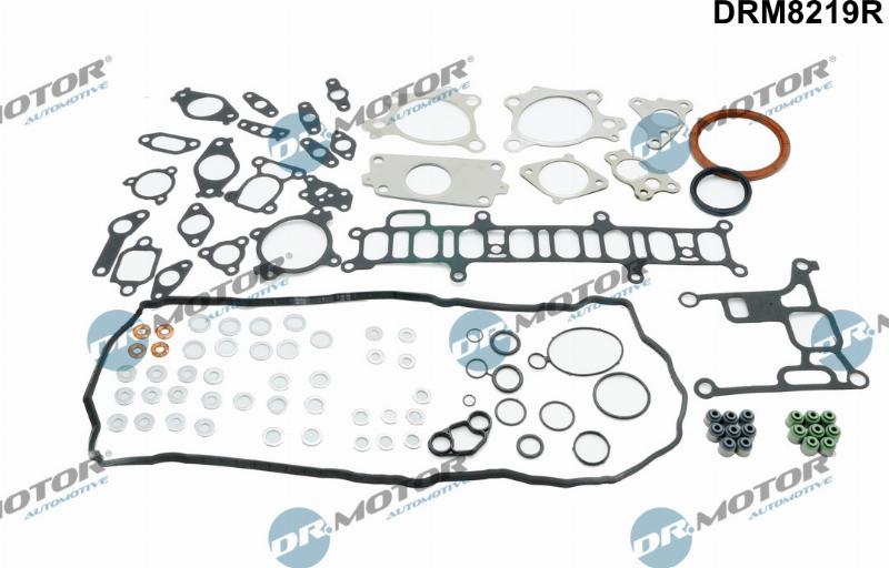 Dr.Motor Automotive DRM8219R - Set garnituri, chiulasa aaoparts.ro