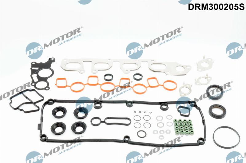 Dr.Motor Automotive DRM300205S - Set garnituri, chiulasa aaoparts.ro