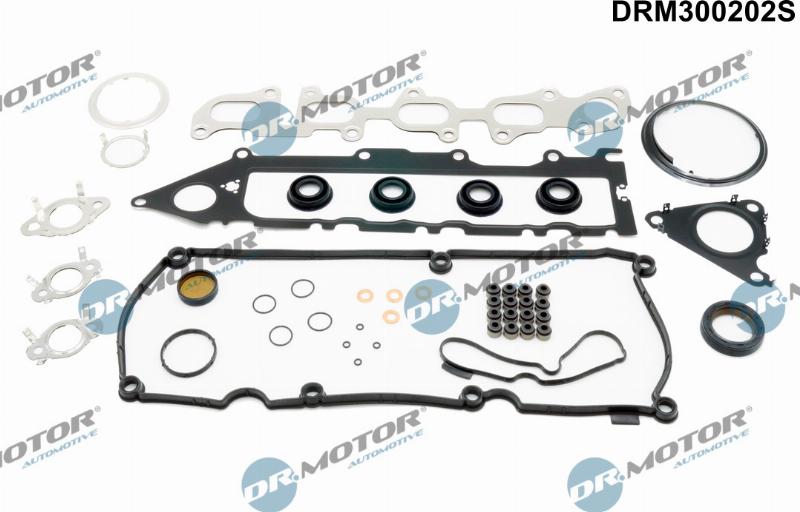 Dr.Motor Automotive DRM300202S - Set garnituri complet, motor aaoparts.ro
