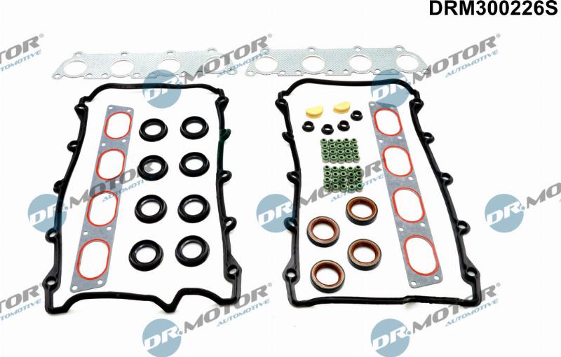 Dr.Motor Automotive DRM300226S - Set garnituri, chiulasa aaoparts.ro