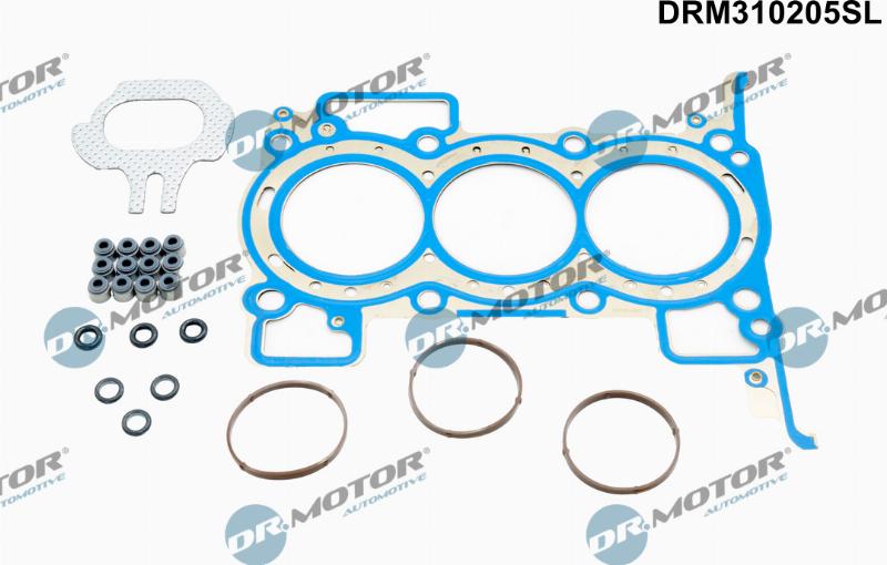 Dr.Motor Automotive DRM310205SL - Set garnituri, chiulasa aaoparts.ro