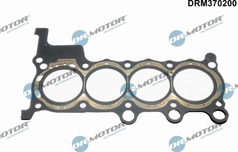Dr.Motor Automotive DRM370200 - Garnitura, chiulasa aaoparts.ro