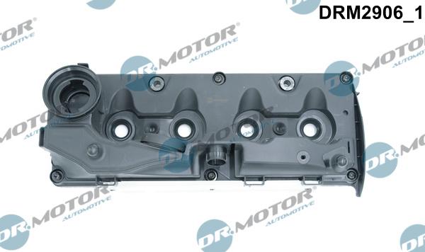 Dr.Motor Automotive DRM2906 - Capac culbutor aaoparts.ro