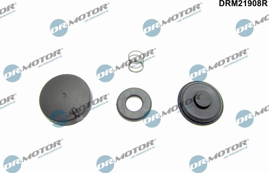 Dr.Motor Automotive DRM21908R - Set reparatie, aerisire baie ulei aaoparts.ro