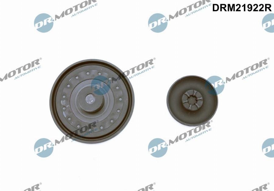 Dr.Motor Automotive DRM21922R - Membrana, aerisire carcasa arbore cotit aaoparts.ro