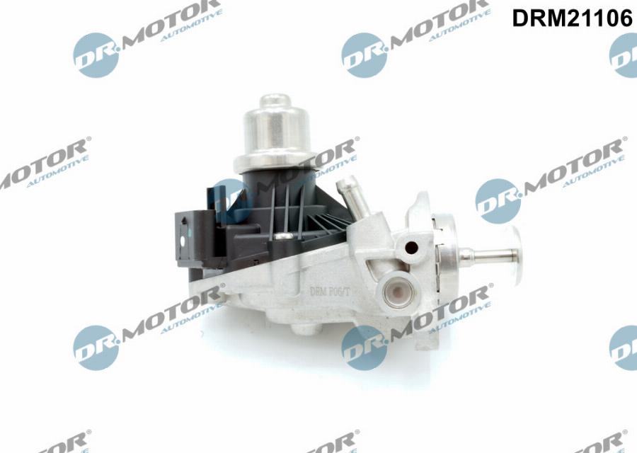 Dr.Motor Automotive DRM21106 - Supapa EGR aaoparts.ro