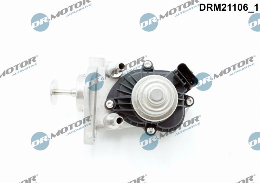 Dr.Motor Automotive DRM21106 - Supapa EGR aaoparts.ro