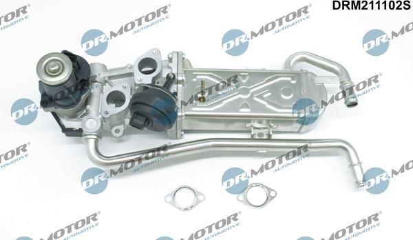 Dr.Motor Automotive DRM211102S - Supapa EGR aaoparts.ro