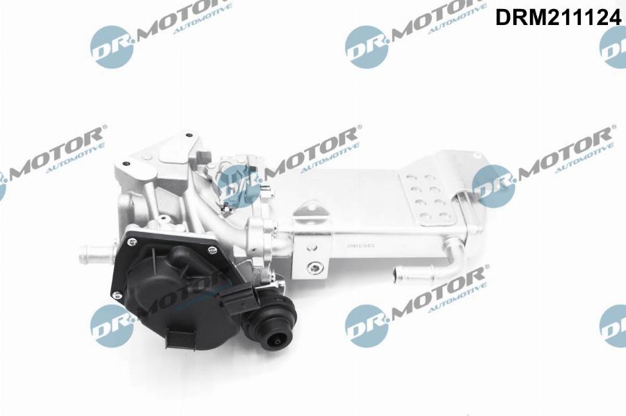 Dr.Motor Automotive DRM211124 - Supapa EGR aaoparts.ro