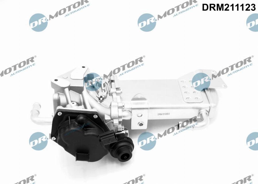 Dr.Motor Automotive DRM211123 - Supapa EGR aaoparts.ro