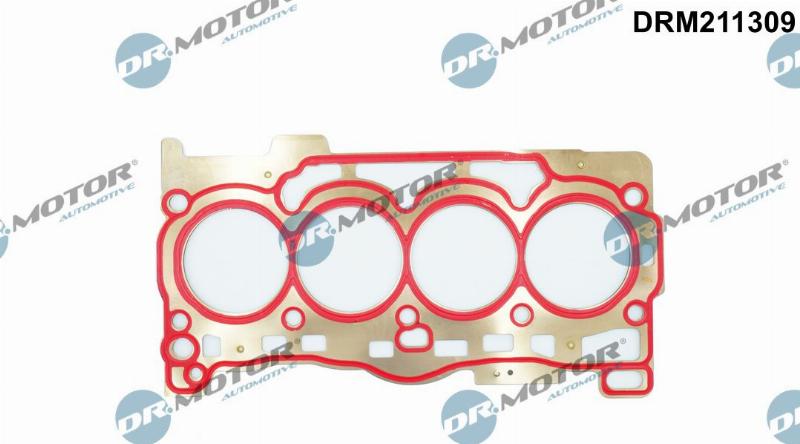 Dr.Motor Automotive DRM211309 - Garnitura, chiulasa aaoparts.ro
