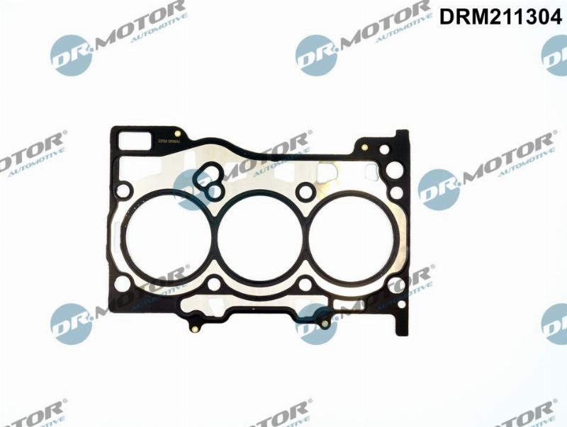 Dr.Motor Automotive DRM211304 - Garnitura, chiulasa aaoparts.ro