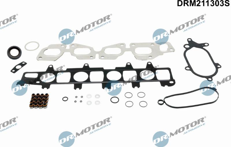 Dr.Motor Automotive DRM211303S - Set garnituri, chiulasa aaoparts.ro